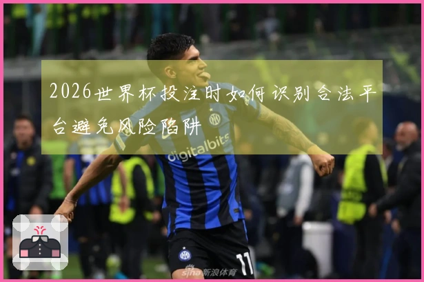 2026世界杯投注时如何识别合法平台避免风险陷阱