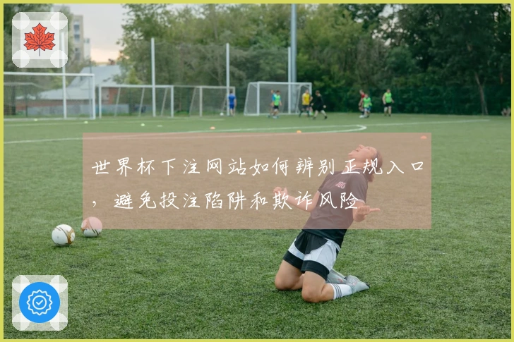 世界杯下注网站如何辨别正规入口，避免投注陷阱和欺诈风险